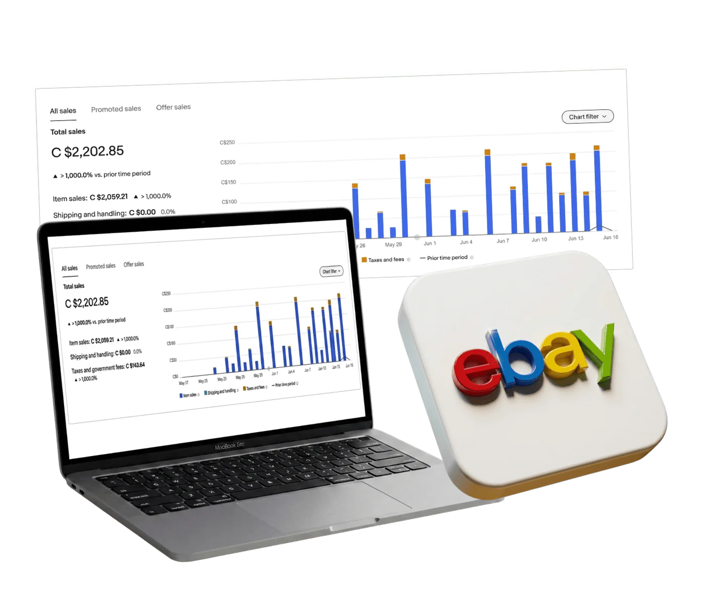 eBay dropshipping automation service helping businesses build a scalable online store